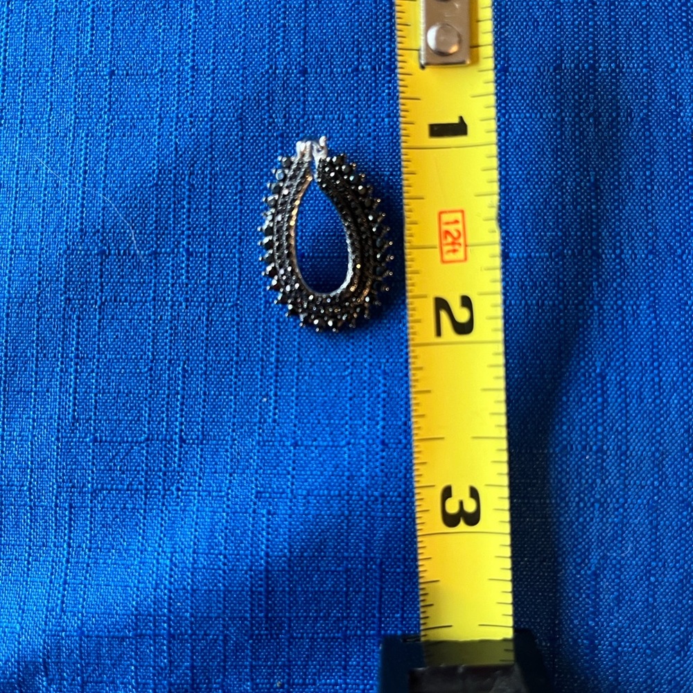 Elegant Black Teardrop Earrings